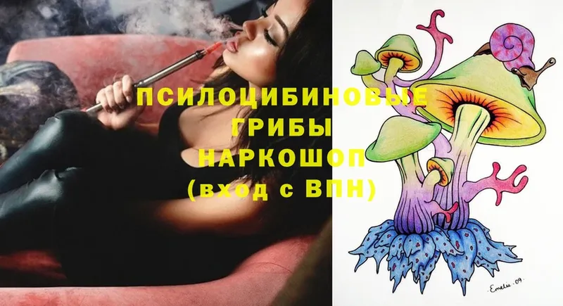 mega ССЫЛКА  Азнакаево  Галлюциногенные грибы Psilocybe 